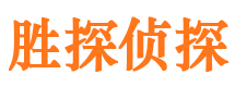 龙海侦探公司